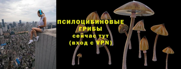 mix Бородино