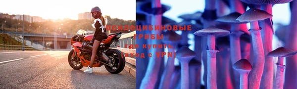mix Бородино