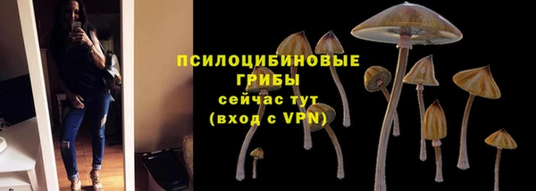 спиды Бронницы